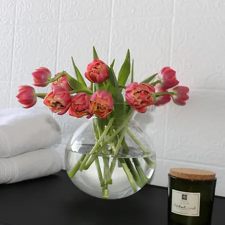 Boutique Wohnung Mit Domblick Paderborn Esterno foto